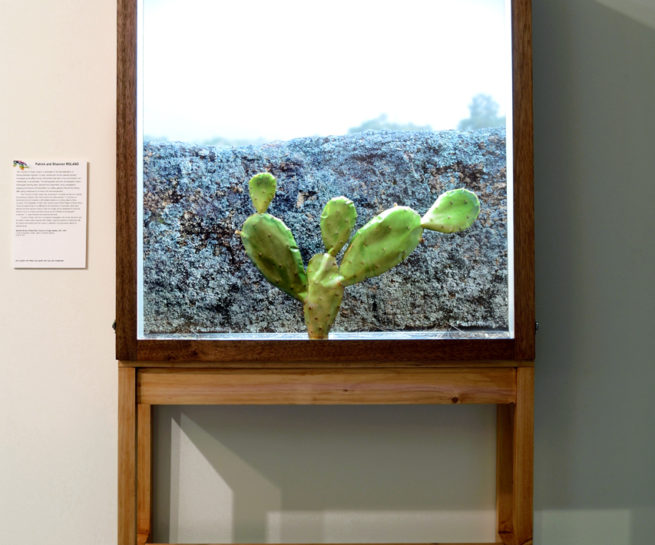 Albury Art Prize 2012 - Patrick and Shannon Ronald